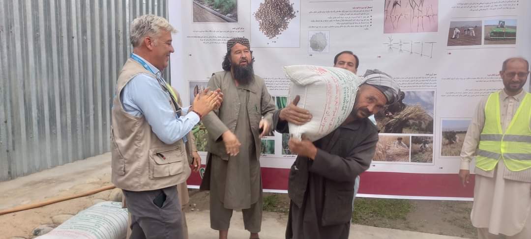 توزیع تخم بذری گندم و کود کمیاوی در بدخشان آغاز شد 