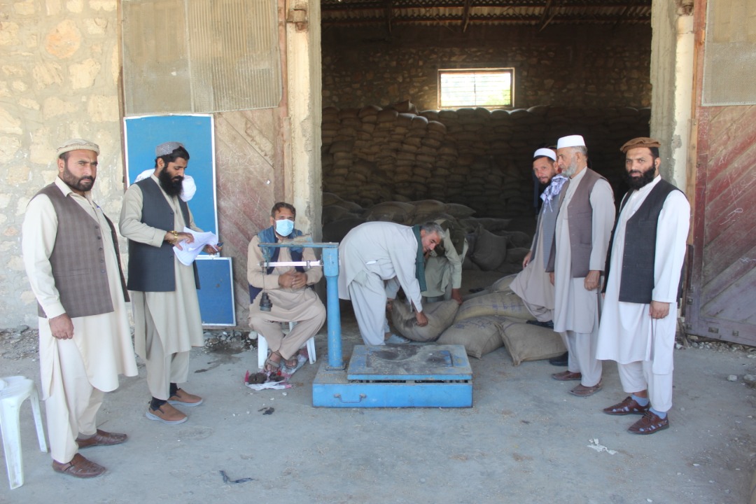 د ننګرهار کانال ریاست: په څه باندې سل کاریګر غنمو ووېشل شو