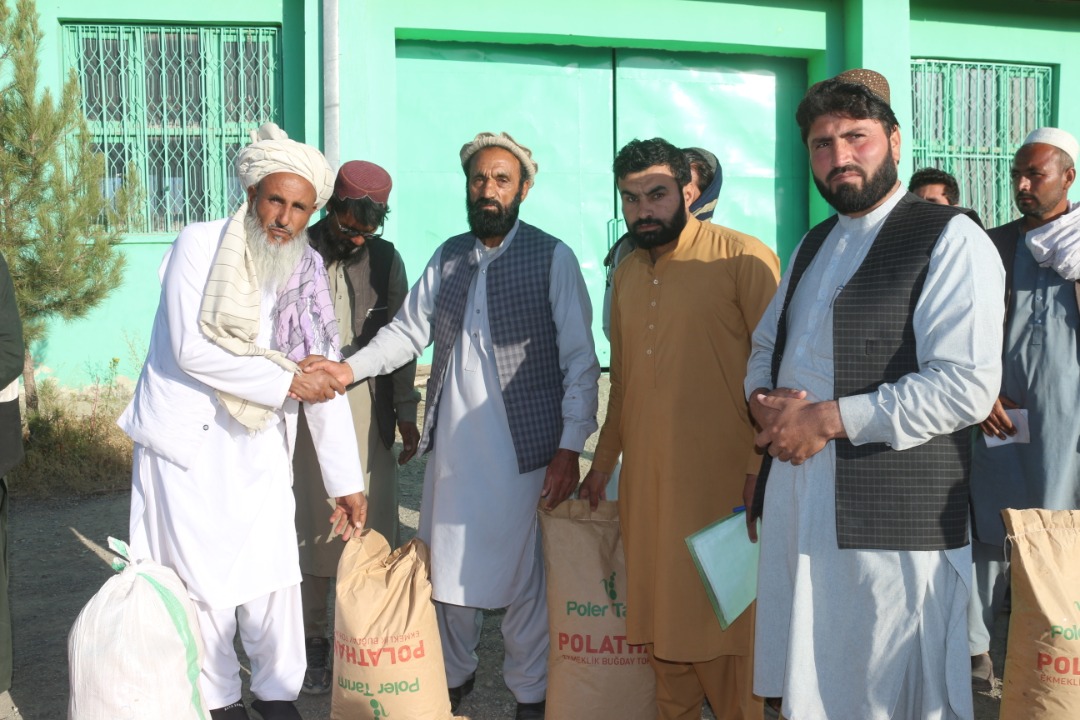 پکتيا: پر ۲۰۰‍ بزګرانو د ترکي غنمو اصلاح شوي تخم ووېشل شو