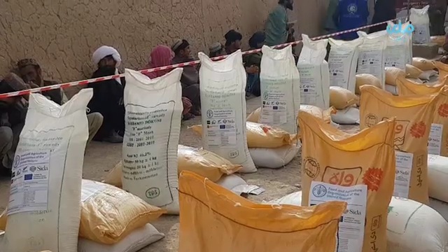 ارزګان کې په اته زره بزګرانو د غنمو د اصلاح شویو تخمونو او کیمیاوي سرو وېش لړۍ پیل شو