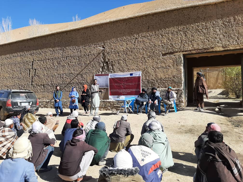 ۶۰ متریک تُن تخم بذری گندم وکود کیمیاوی در ولسوالی خدیر ولایت دایکندی توزیع شد