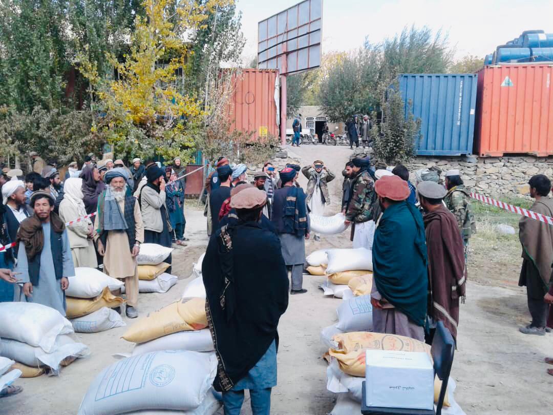 به ۸۰۰ تن در ولسوالی شیخ علی پروان تخم اصلاح شده بذری توزیع شد 