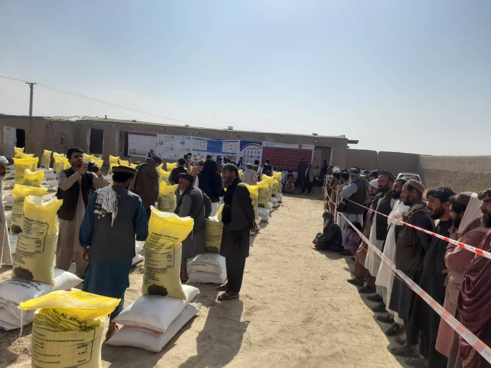 د کندز علي آباد کې کې په ۶۲۵ بزګرانو د غنمو اصلاح شویو تخمونو او کیمیاوي سرو د وېش لړرۍ پیل شو