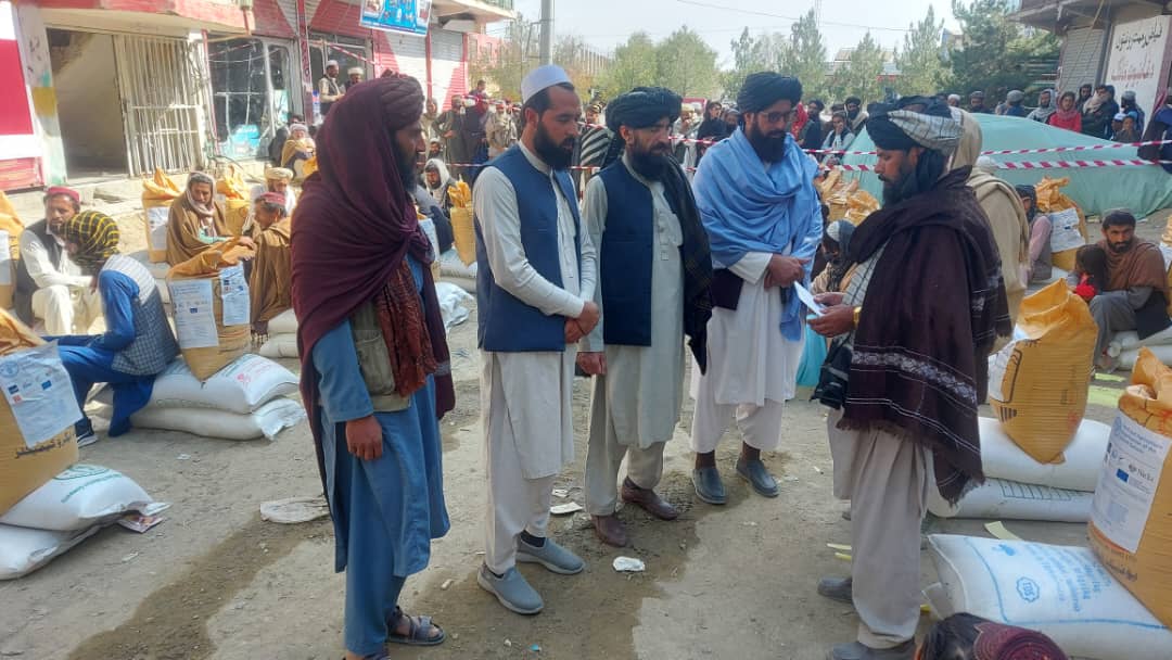 پکتیکا کې په څه باندې ۱۸ زره بزګرانو د غنمو اصلاح شويو تخمونو او کیمیاوي سرو وېش لړۍ پیل شوی