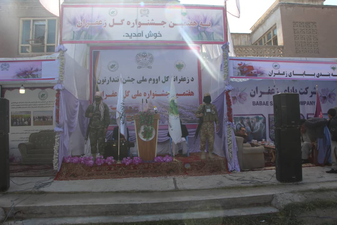 برگزاری هفتمین جشنواره ملی زعفران در ریاست زراعت هرات 