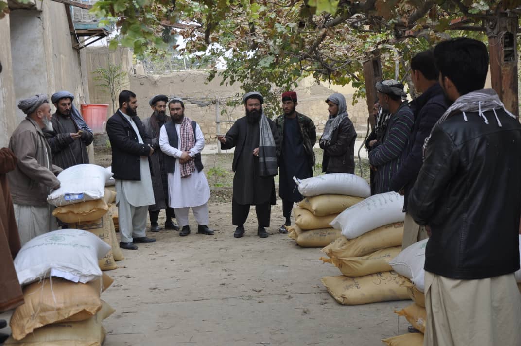 ‎توزیع تخم اصلاح شده به منظور ایجاد قطعات نمایشی در جوزجان