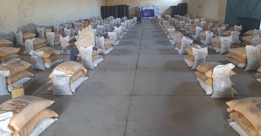 لغمان کې په ۲۷۲ بزګرانو د غنمو اصلاح شوي تخم او کیمیاوي سرې ووېشل شوې