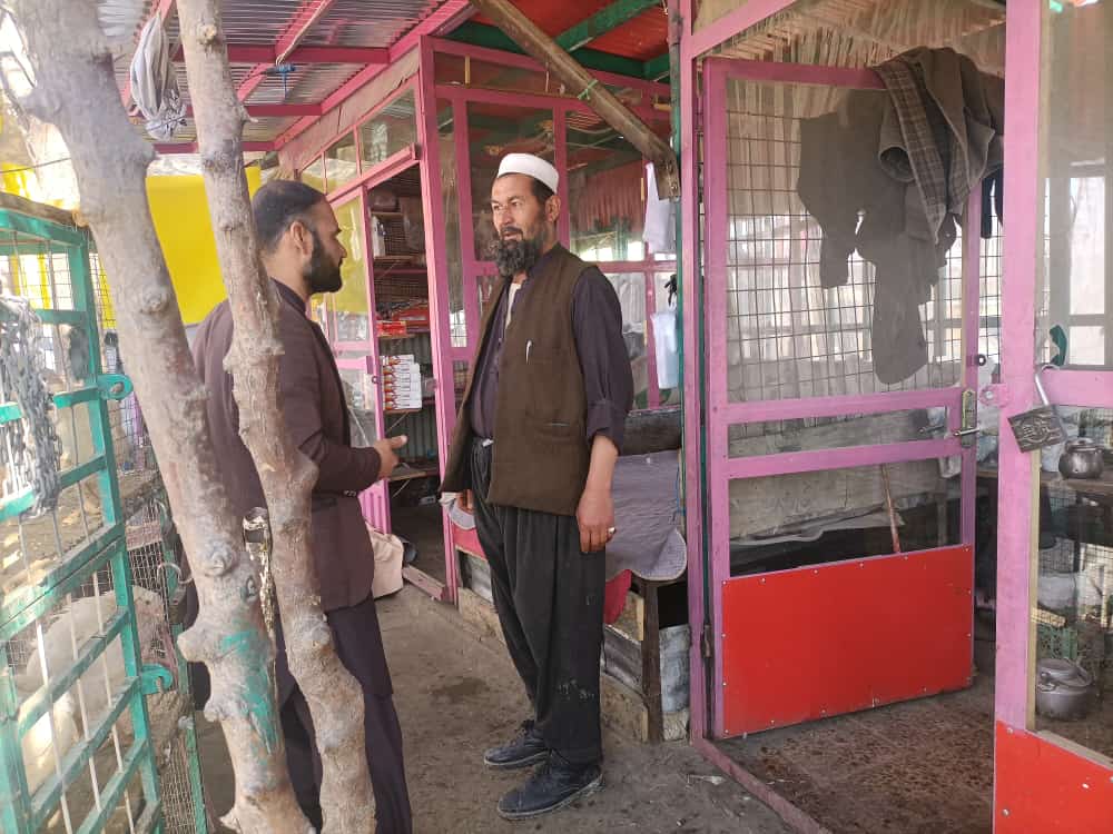 از جریان کار قصابی‌ها و فروشنده‌گان گوشت مرغ در ولایت لوگر نظارت صورت گرفت
