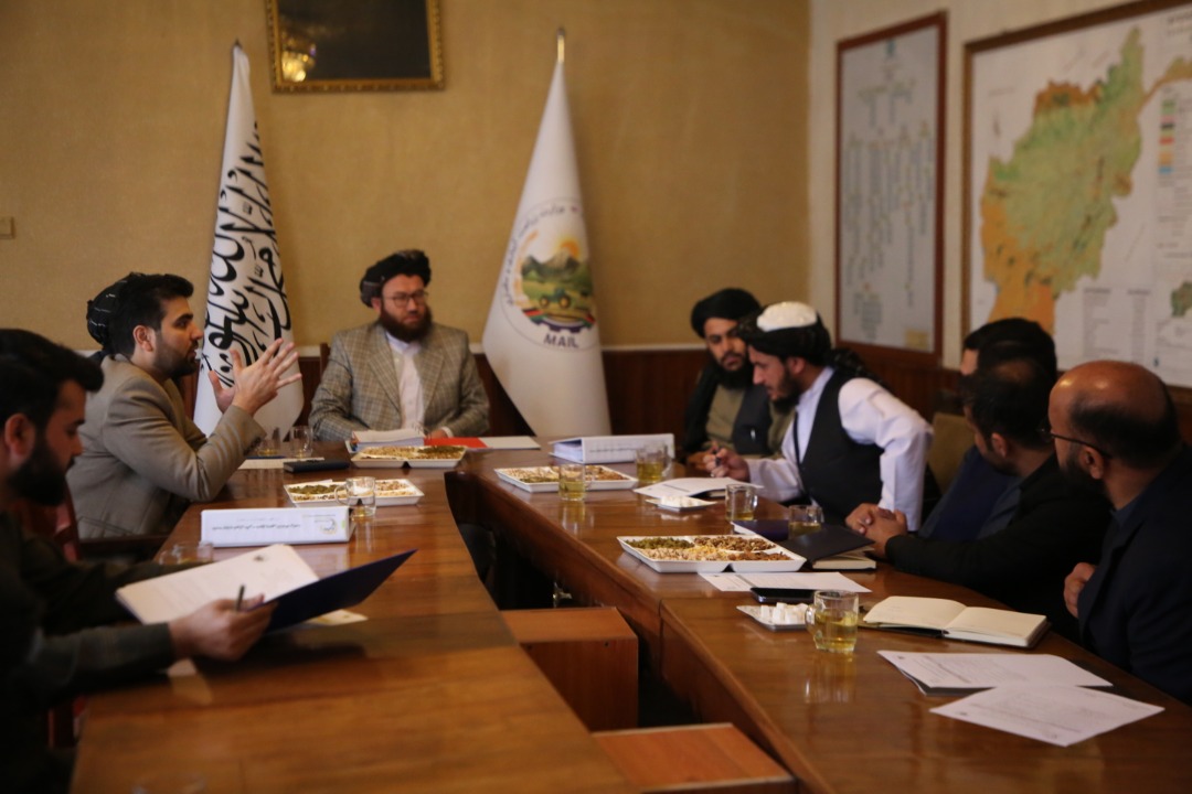 دکرنې د پراختیا وجهي صندوق عالي شورا چارواکو سره غونډه وشوه