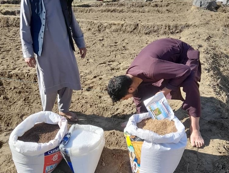 ‎ایجاد قطعات نمایشی در ولسوالی استالف ولایت کابل 