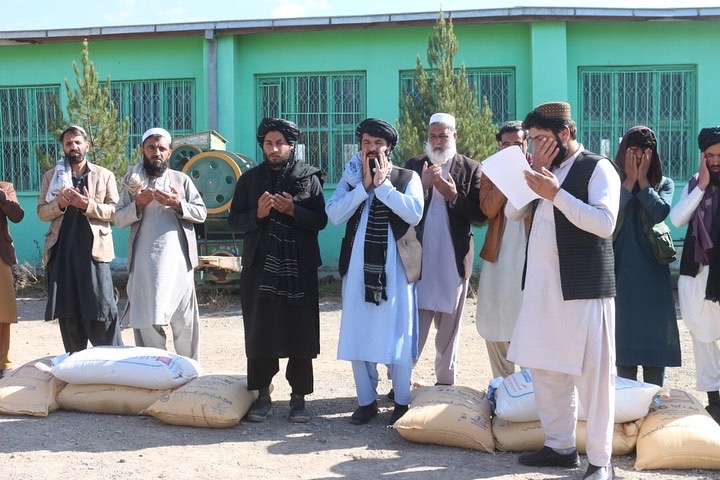 ‎پکتیا کې د غنمو ننداریزې کروندې جوړېږي