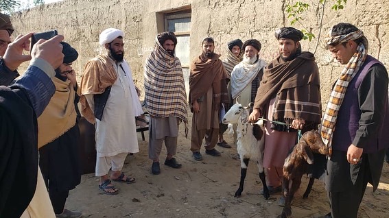 ‎بادغیس کې له ښځینه مالدارانو سره مرستې وشوې