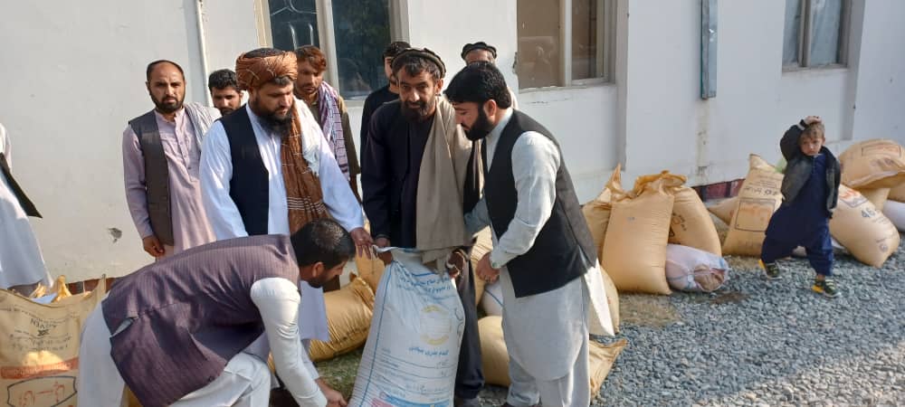 ‎لغمان کې د غنمو ۲۰ ننداریزې کروندې جوړېږي