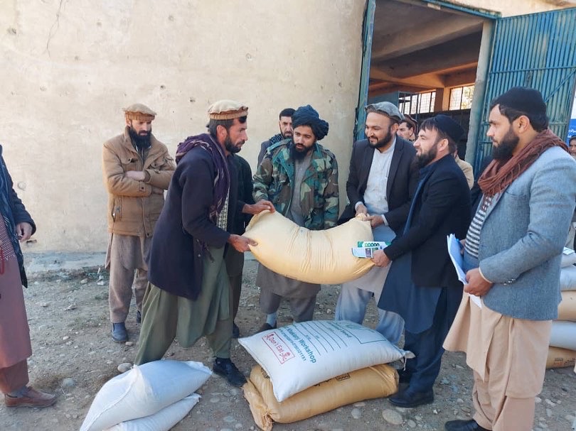 ‎برای ۲۸۴ تَن دهقان در پنج ولسوالی ولایت کاپیسا تخم بذری گندم و کود کیمیاوی توزیع شد