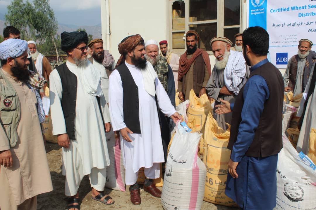 ‎د لغمان علیشنګ کې په ۳۶۰ بزګرانو د غنمو اصلاح شوي تخمونو او کیمیاوي سرې وېشل کېږي