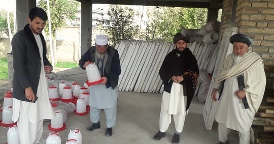 توزیع مرغ‌تخمی برای ۱۰۰ خانواده در ولایت فاریاب