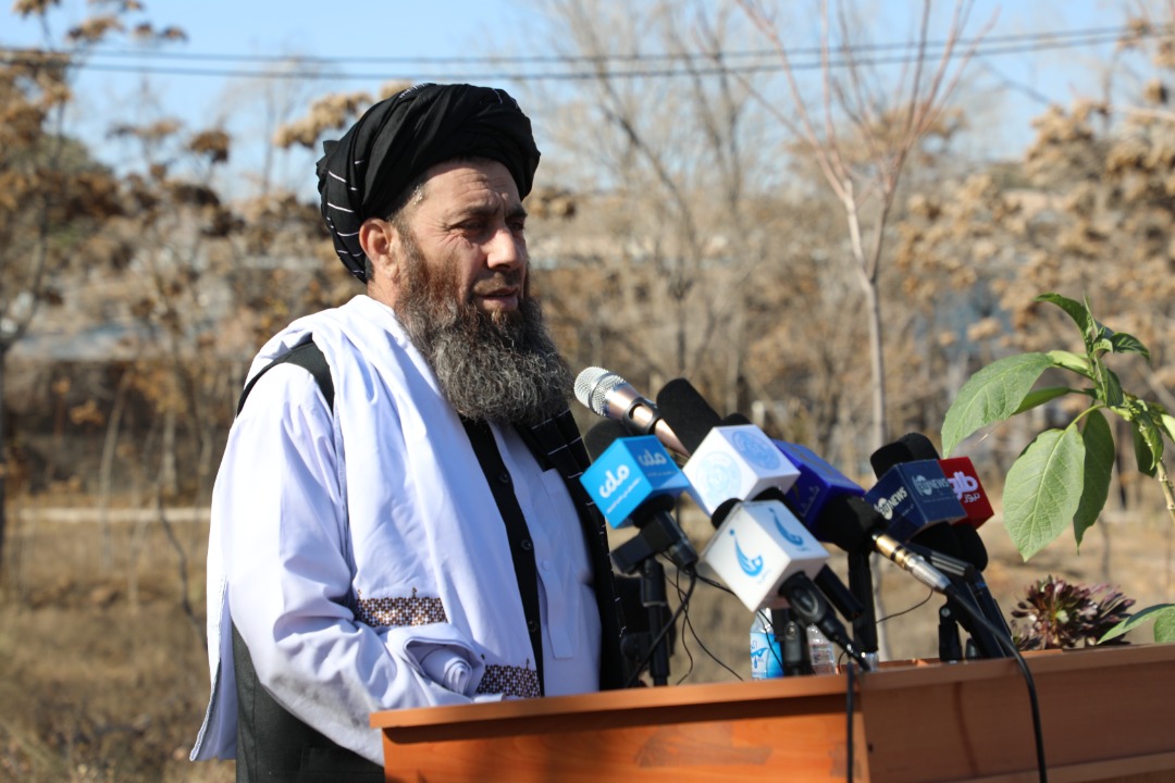 د کرنې او مالدارۍ مرستیال: کرنیز تولیدات باید معیاري او سوداګریزې شي