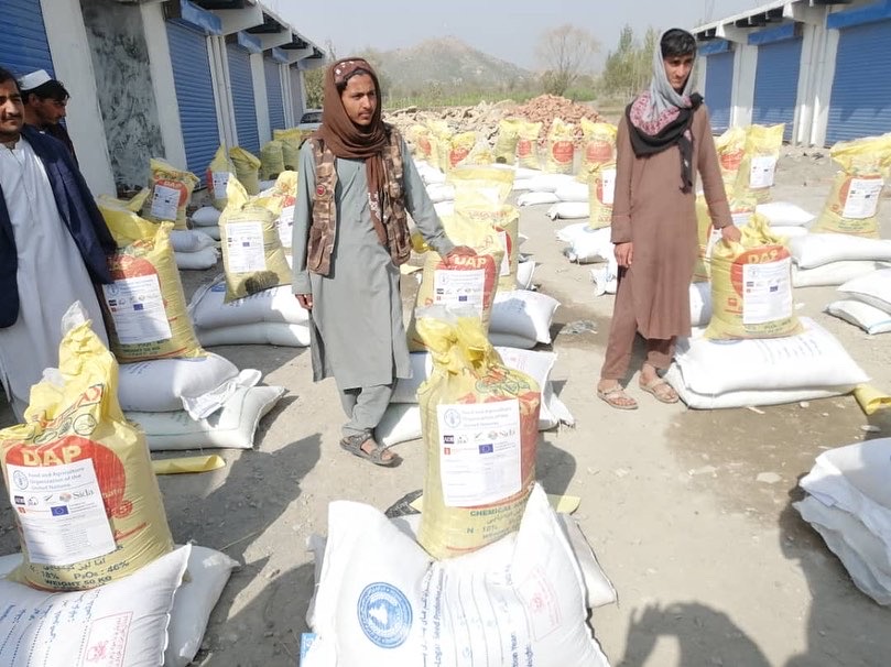 ‎د خوست په دوو ولسوالیو کې پر مستحقو بزګرانو د غنمو د اصلاح شویو تخمونو او کیمیاوي سرو وېش لړۍ پیل شو