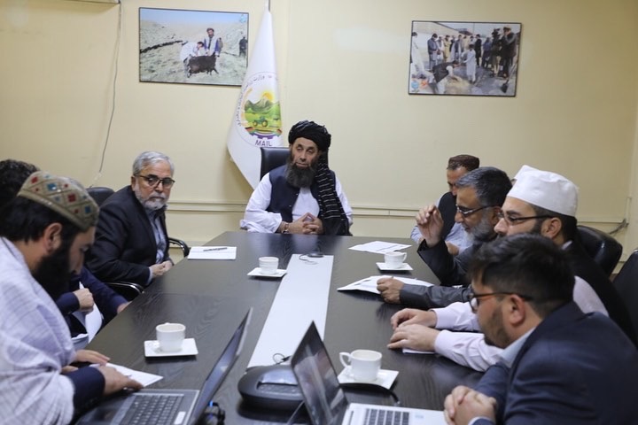 ‎دکرنې وزارت دکرنې او مالدارۍ مرستیال د ملګرو ملتونو د خوړو او کرنې ادارې مرستیال سره وکتل