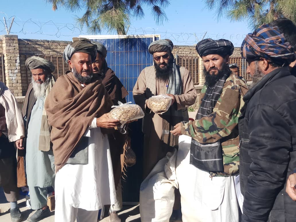 توزیع  بته نهالی و تخم هنگ در ولایت فاریاب 