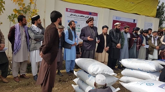 ‎به یک هزار مالدار در کاپیسا مواد خوراکه حیوانی توزیع شد