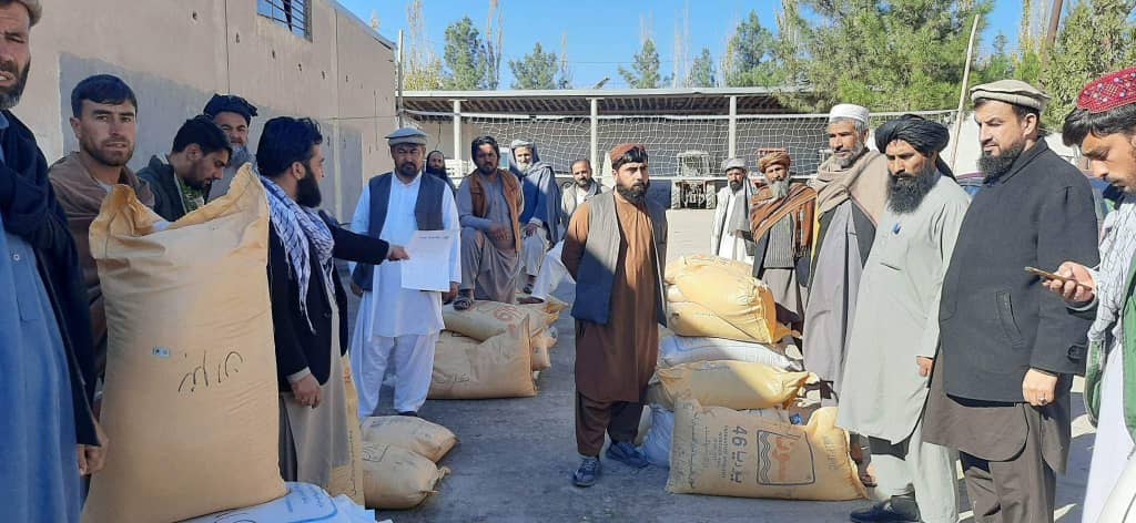 ‎ایجاد بیست قطعه نمایشی گندم در ولایت بغلان