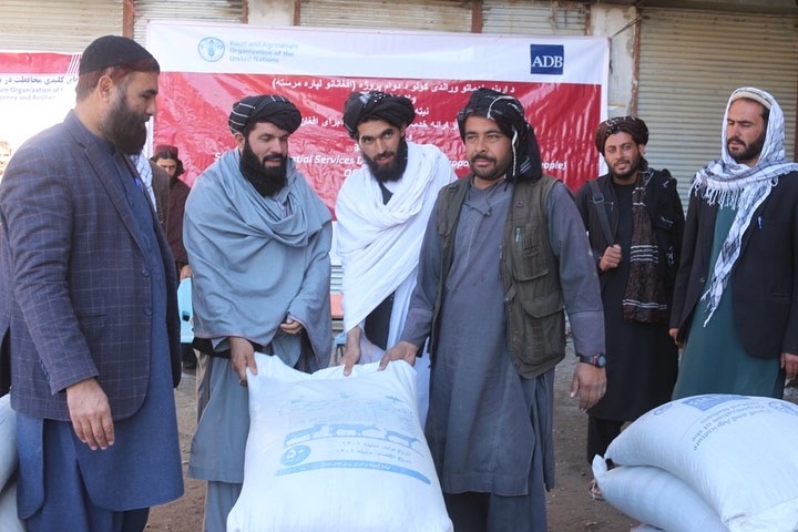 پکتيا: پر ۲۹۴۱‍ مالدارانو د څاریو د خوراکي توکو ويش لړۍ پيل شو