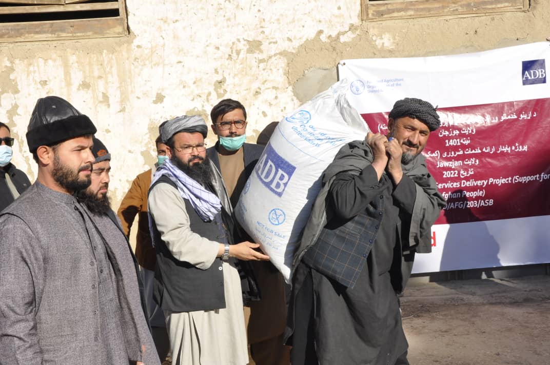 برای چهار هزار مالدار در جوزجان خوراکه حیوانی توزیع شد