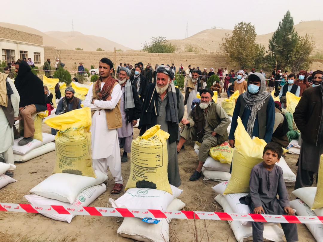 توزیع تخم اصلاح‌شده بذری و کودکیمیاوی به هزارتن از دهقانان ولایت کندز