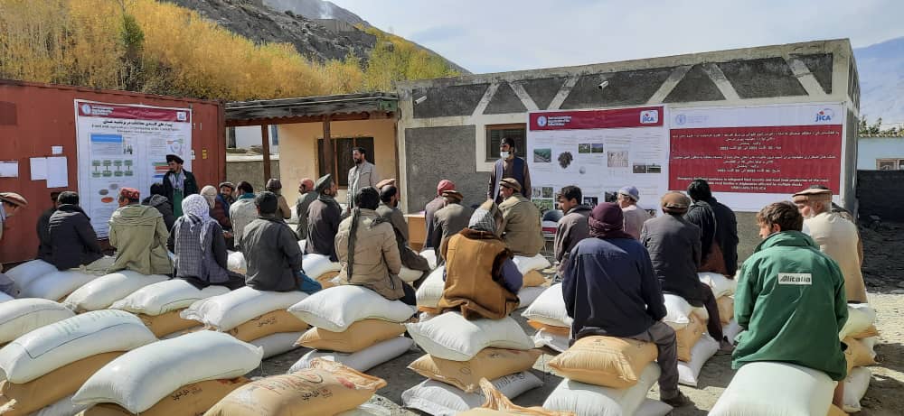 آغاز توزیع تخم بذری گندم و کود کمیاوی در ولسوالی شهدای ولایت بدخشان