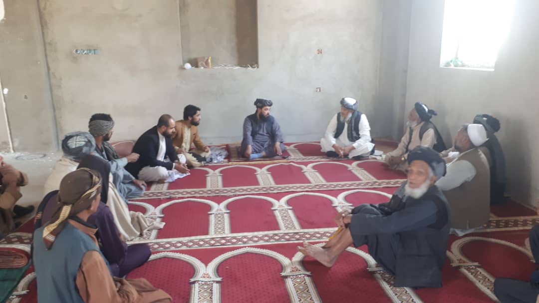 از ساحات پوشش طبیعی و بته‌های خودرو بازدید به‌عمل‌آمد 