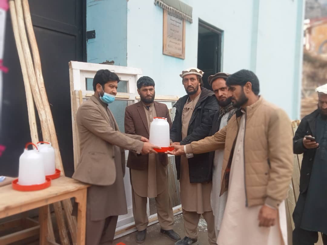 نورستان کې د چرګانو ۵۸۸ کورني فارمونه جوړېږي