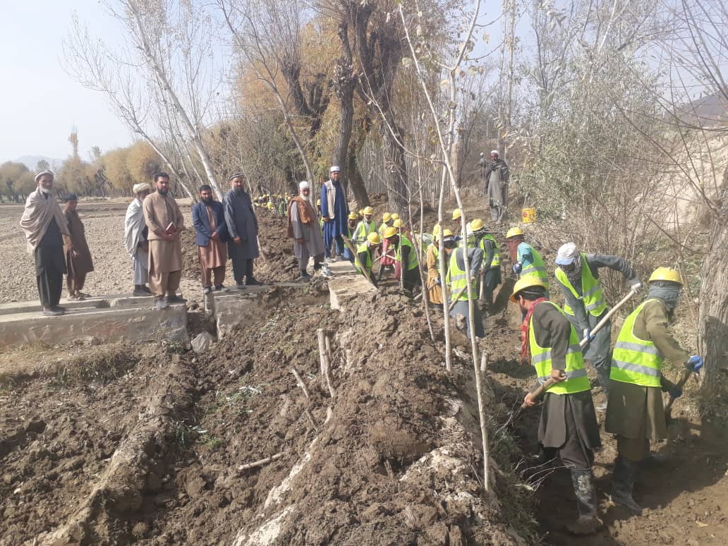 نظارت از جریان چندین پروژه زراعتی در ولایت لوگر