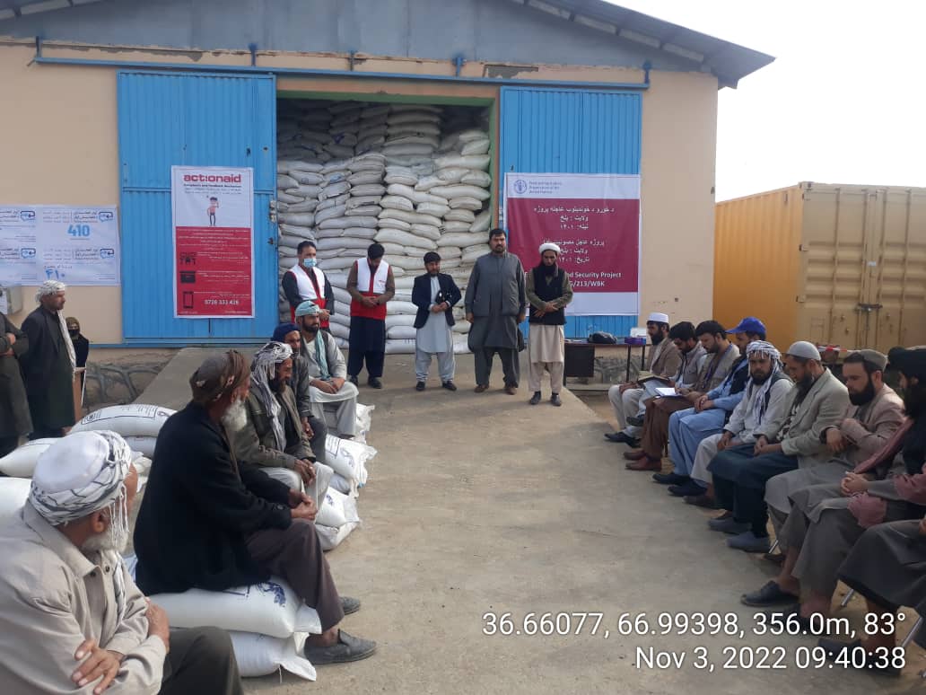 آغاز توزیع تخم اصلاح شده گندم و کود برای ۵ هزار دهقان در  ولسوالی دهدادی ولایت بلخ