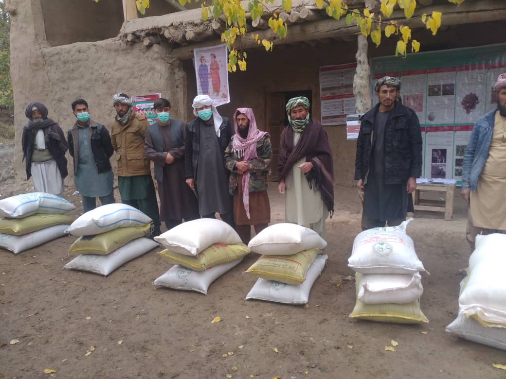 توزیع تخم‌اصلاح‌شده گندم و کودکیمیاوی برای ۳۰۰ تن از دهاقین ولایت فاریاب