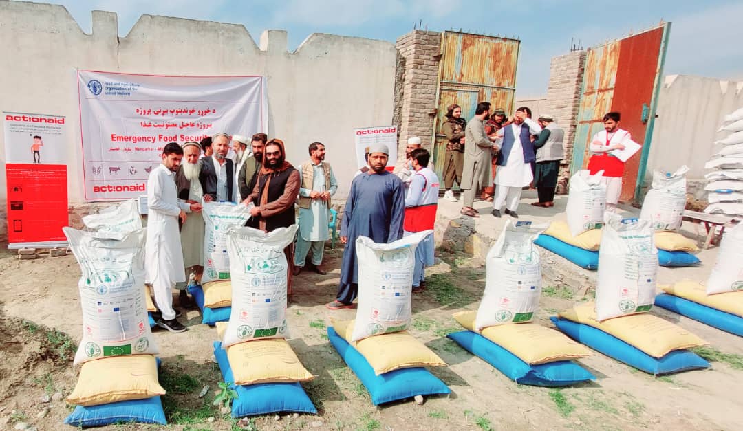 د ننګرهار دوو ولسوالیو کې په ۳۵۰۰ بزګرانو د غنمو د اصلاح شویو تخمونه او کیمیاوي سرې ووېشل شوې