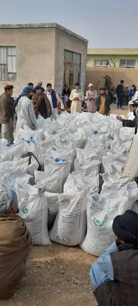 به یک هزار دهقان در جوزجان گندم اصلاح شده بذری و کود کیمیاوی توزیع شد 