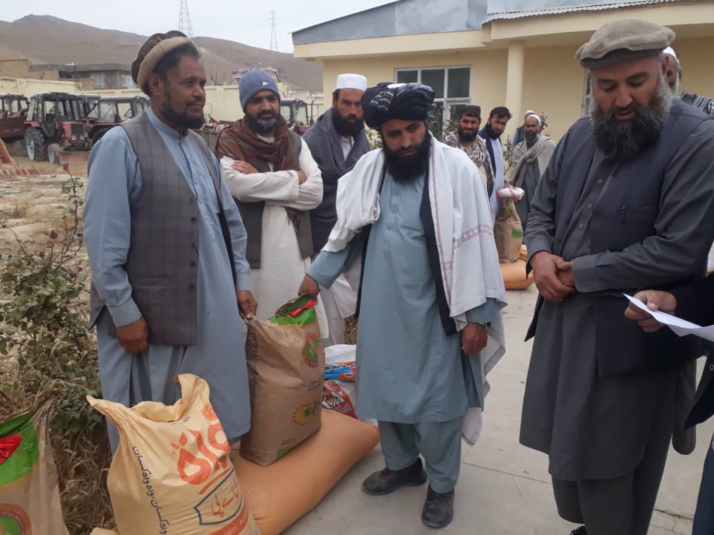 احداث ۲۰ قطعه نمایشی گندم اصلاح شده در ولایت لوگر