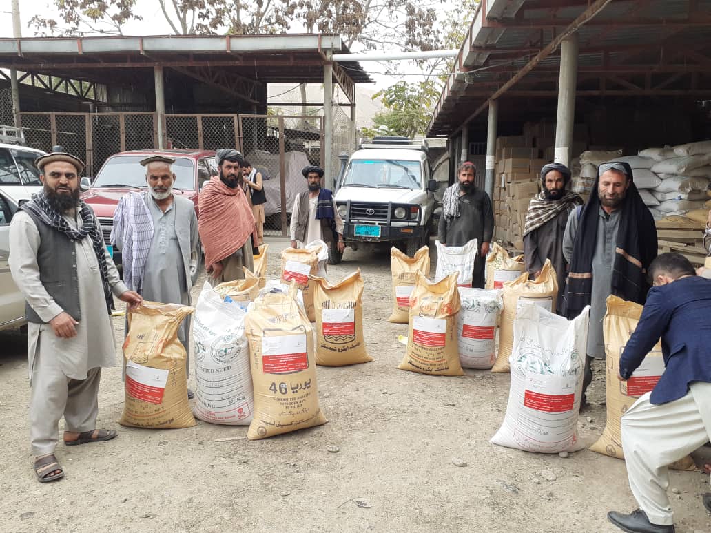 بغلان کې په ۳۹۸ بزګرانو د غنمو د اصلاح شویو تخمونه او کیمیاوي سرې ووېشل شوې