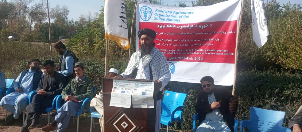 د کندز په ۶۰۰۰ بزګرانو د غنمو د اصلاح شویو تخمونه او کیمیاوي سرې ووېشل شوې