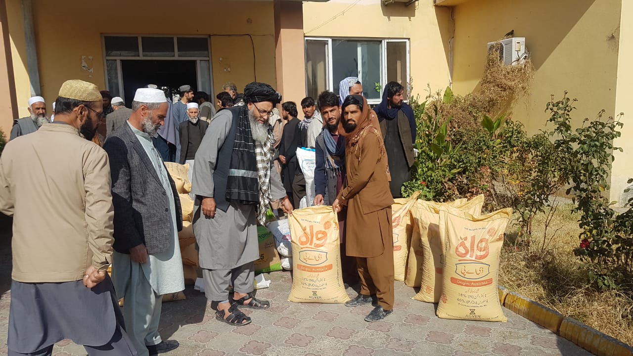 به شماری از دهاقین در ولایت کابل تخم اصلاح شده گندم و کودکیمیاوی توزیع شد