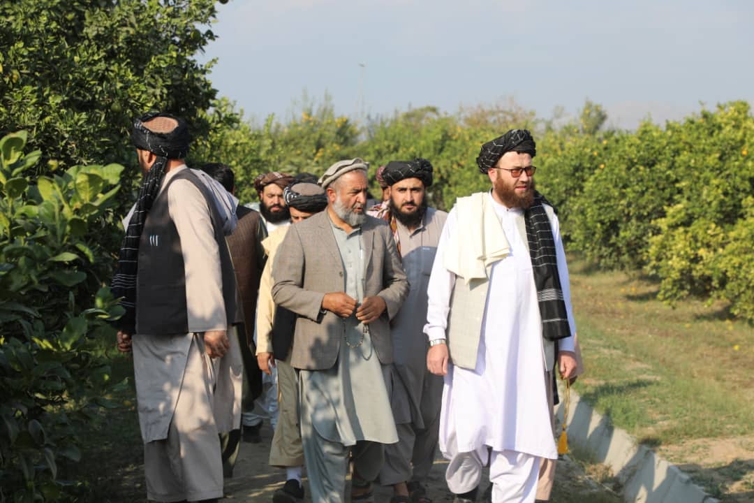 بازدید سرپرست وزارت زراعت از مرکز انکشاف باغ‌داری ننگرهار