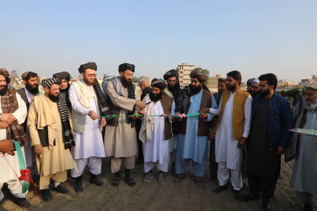 د ننګرهار شیشم بڼ څېړنیز فارم کې د خزاني کرکیلې پیل