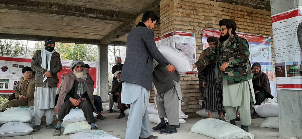 به بیش از شش‌هزار دهقان در ولایت فاریاب تخم اصلاح شده گندم و کودکیمیاوی توزیع شد