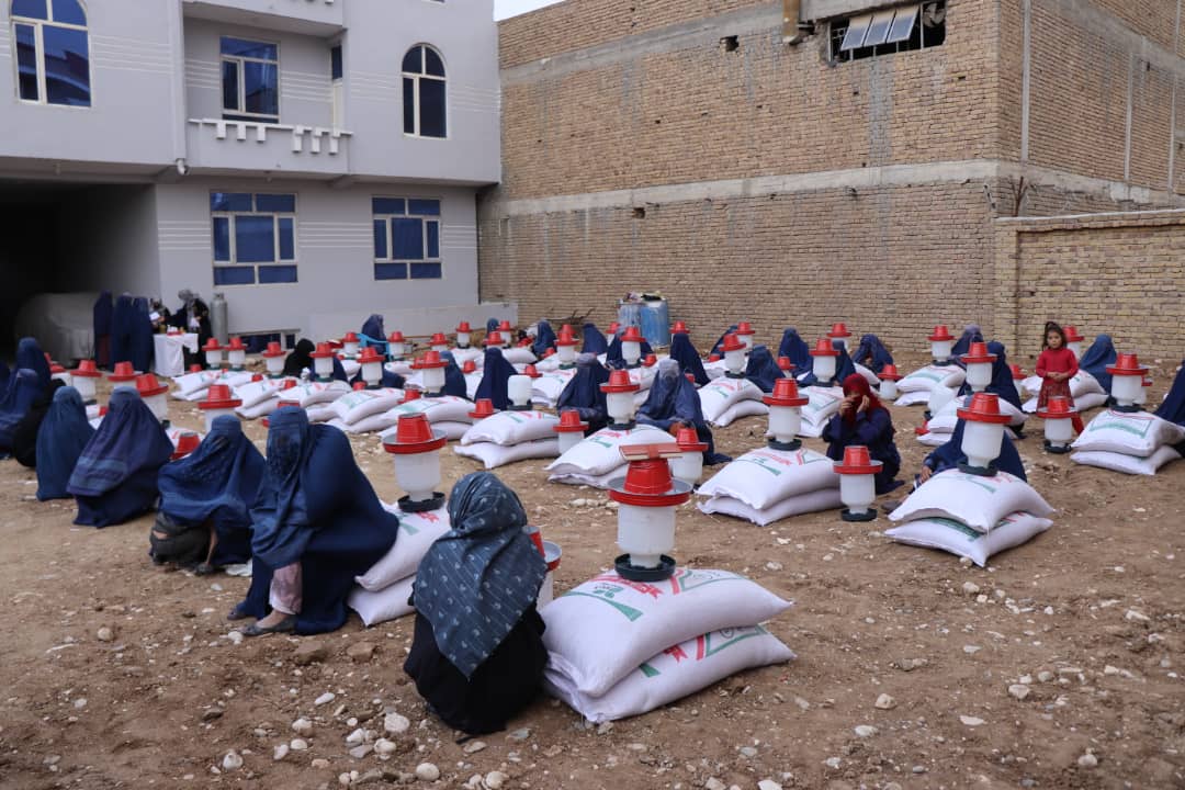 توزیع بسته‌های مرغداری و مرغ‌های تخمی به ۲۴۰ فامیل در ولایت سمنگان