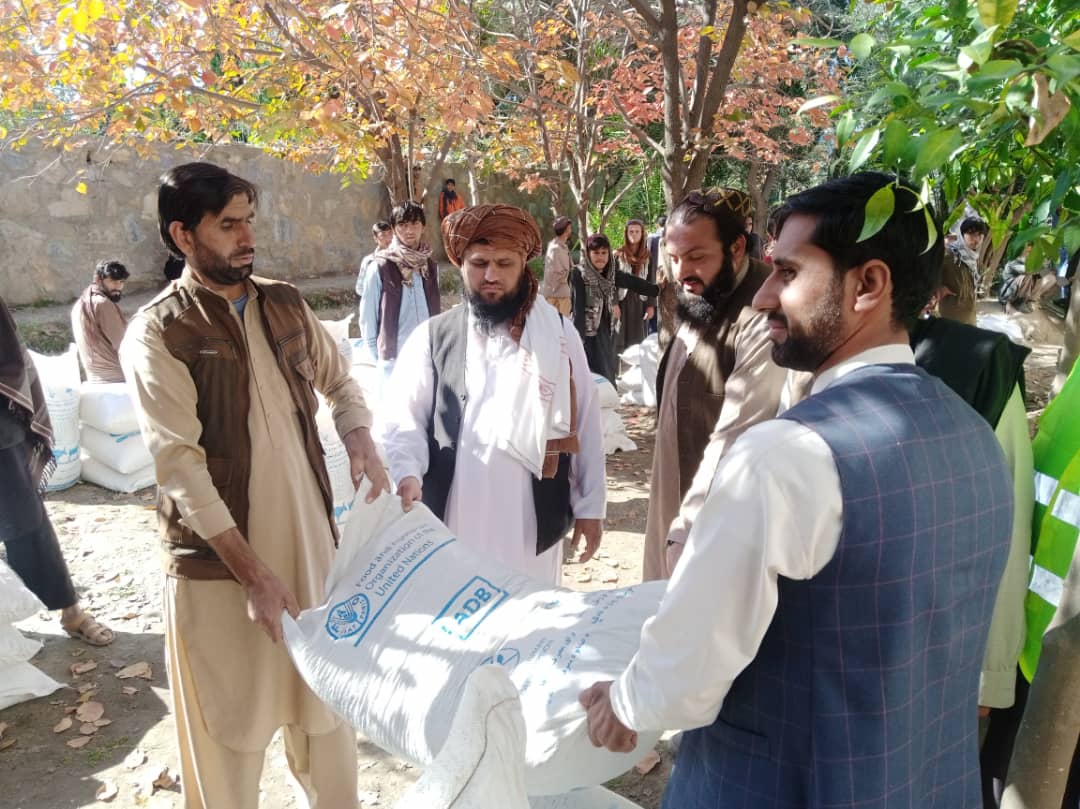 توزیع خوراکه حیوانی برای ۹۴۰ مالدار در لغمان