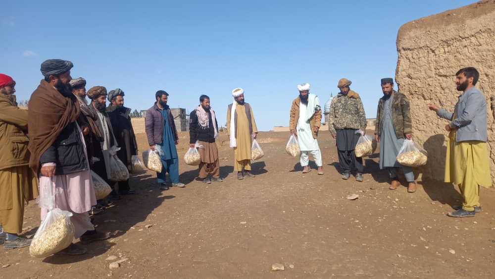 ۲۰۰ تن در بادغیس کاشت هنگ را آموزش دیدند