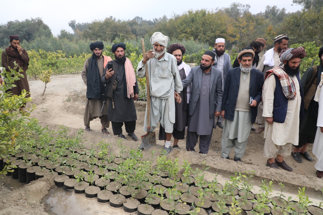 د اوبولګولو او طبیعي سرچینو مرستیال په ننګرهار کې د غلام حیدرخان قوریې څخه لیدنه وکړه