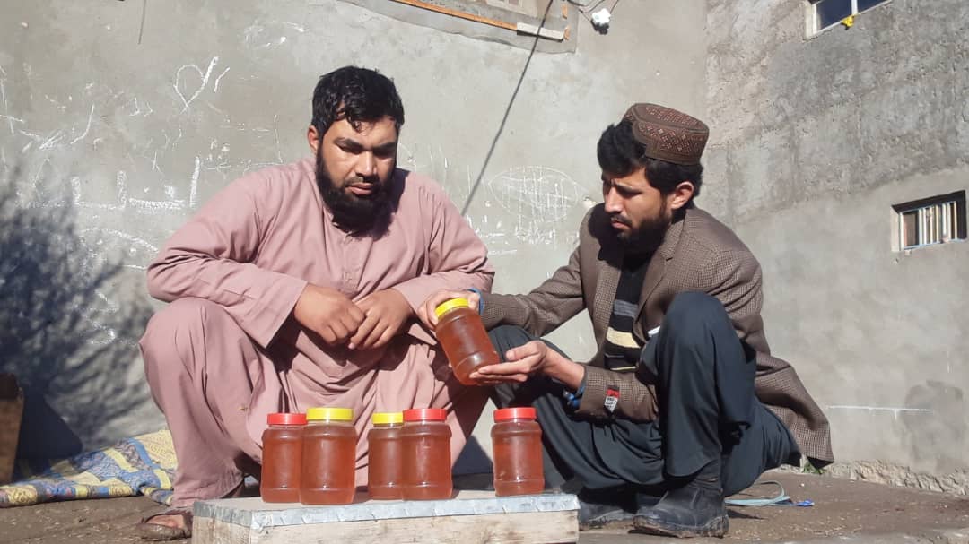 تولید عسل در بادغیس نظر به سال قبل چهل درصد افزایش یافته