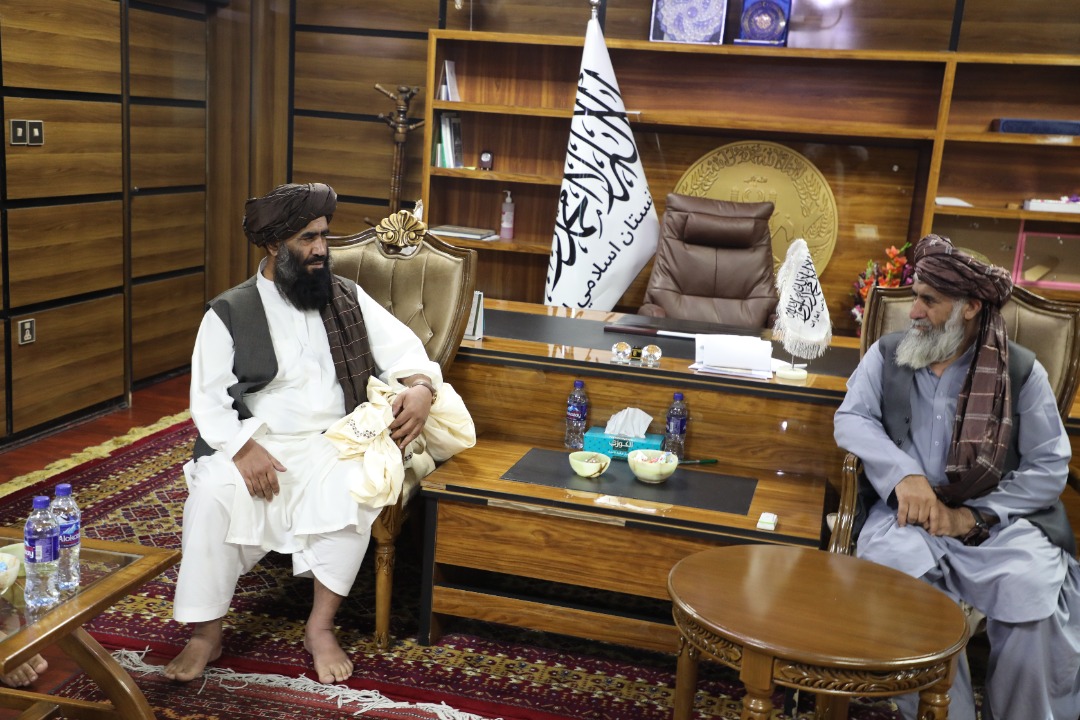 د اوبولګولو او طبیعي سرچینو مرستیال د ننګرهار والي سره وکتل